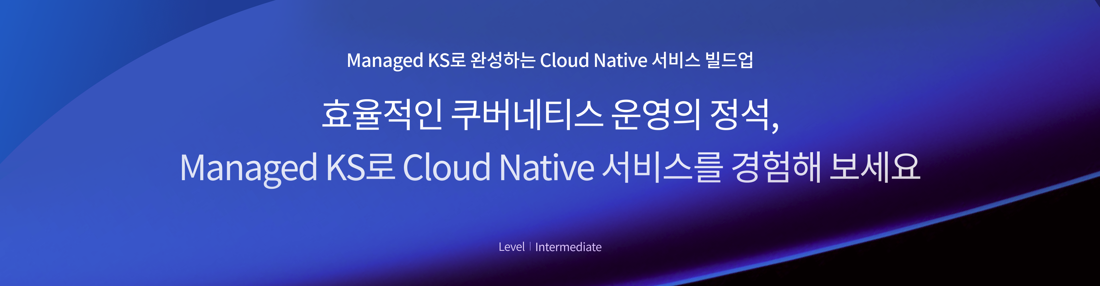 KS 배너